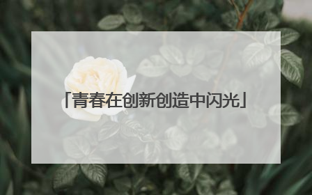 青春在创新创造中闪光