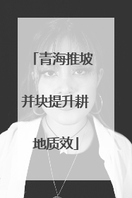 青海推坡并块提升耕地质效
