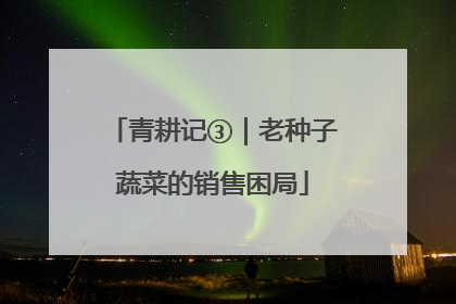 青耕记③｜老种子蔬菜的销售困局