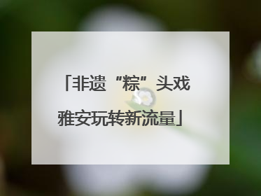 非遗“粽”头戏 雅安玩转新流量