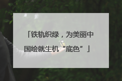 铁轨织绿，为美丽中国绘就生机“底色”