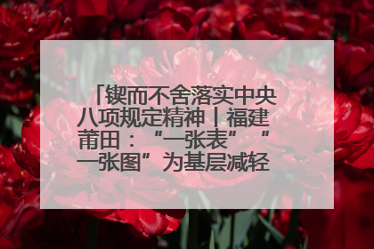 锲而不舍落实中央八项规定精神丨福建莆田：“一张表”“一张图”为基层减轻“数字负担”