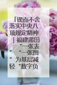 锲而不舍落实中央八项规定精神｜福建莆田：“一张表”“一张图”为基层减轻“数字负担”