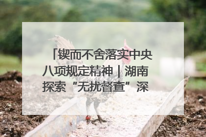 锲而不舍落实中央八项规定精神｜湖南探索“无扰督查”深化基层减负