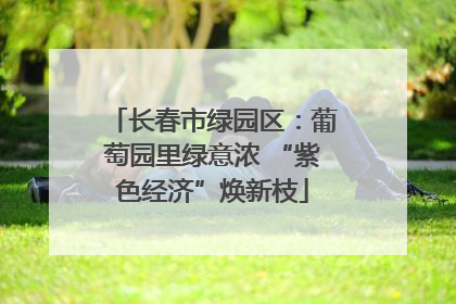 长春市绿园区：葡萄园里绿意浓 “紫色经济”焕新枝
