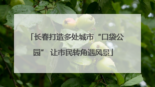 长春打造多处城市“口袋公园” 让市民转角遇风景