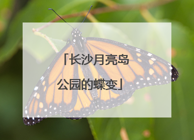 长沙月亮岛公园的蝶变