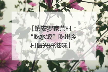 镇安罗家营村：“吃水饭”吃出乡村振兴好滋味