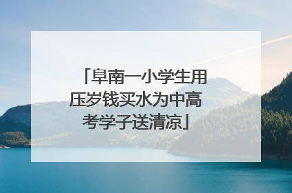阜南一小学生用压岁钱买水为中高考学子送清凉