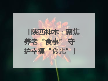 陕西神木：聚焦养老“食事” 守护幸福“食光”