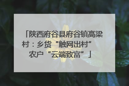 陕西府谷县府谷镇高梁村：乡货“触网出村” 农户“云端致富”