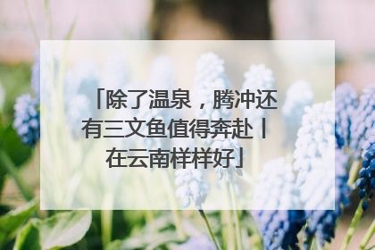 除了温泉，腾冲还有三文鱼值得奔赴丨在云南样样好