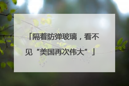 隔着防弹玻璃，看不见“美国再次伟大”