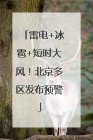 雷电+冰雹+短时大风！北京多区发布预警