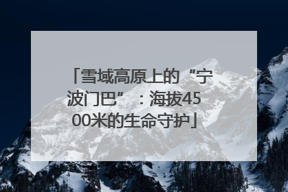 雪域高原上的“宁波门巴”：海拔4500米的生命守护