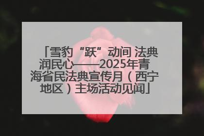 雪豹“跃”动间 法典润民心——2025年青海省民法典宣传月（西宁地区）主场活动见闻