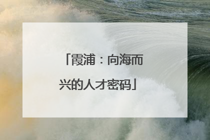 霞浦：向海而兴的人才密码