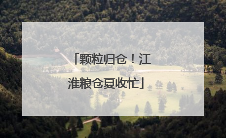 颗粒归仓！江淮粮仓夏收忙