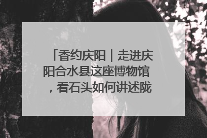 香约庆阳｜走进庆阳合水县这座博物馆，看石头如何讲述陇东千年历史