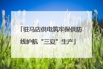驻马店供电筑牢保供防线护航“三夏”生产