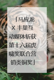 马应龙 X 丰巢互动媒体斩获第十六届虎啸奖联合营销类铜奖
