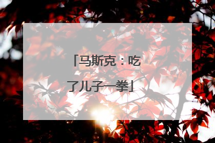 马斯克：吃了儿子一拳