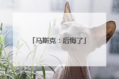马斯克：后悔了