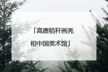 高唐秸秆画亮相中国美术馆