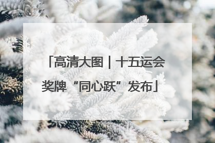 高清大图｜十五运会奖牌“同心跃”发布