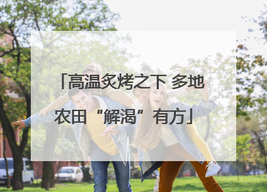 高温炙烤之下 多地农田“解渴”有方