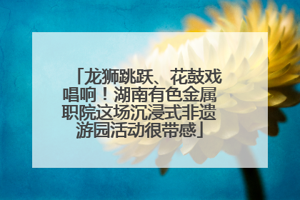 龙狮跳跃、花鼓戏唱响！湖南有色金属职院这场沉浸式非遗游园活动很带感