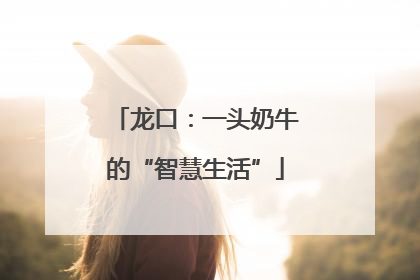 龙口：一头奶牛的“智慧生活”