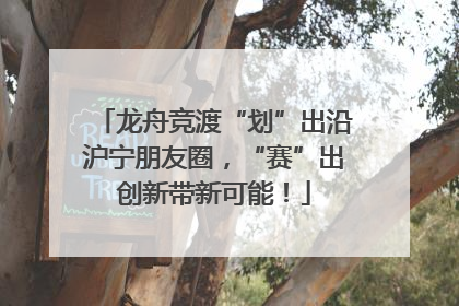 龙舟竞渡“划”出沿沪宁朋友圈，“赛”出创新带新可能！