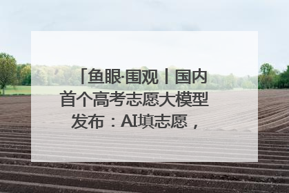 鱼眼·围观丨国内首个高考志愿大模型发布：AI填志愿，靠不靠谱？