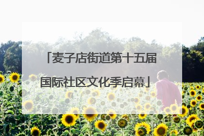 麦子店街道第十五届国际社区文化季启幕