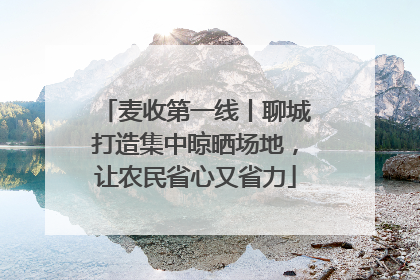 麦收第一线丨聊城打造集中晾晒场地，让农民省心又省力