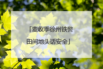 麦收季徐州铁警田间地头话安全