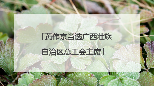 黄伟京当选广西壮族自治区总工会主席