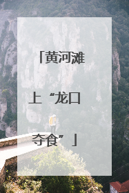 黄河滩上“龙口夺食”
