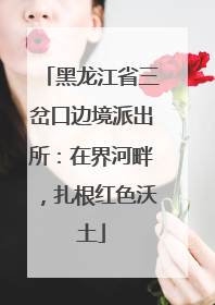 黑龙江省三岔口边境派出所：在界河畔，扎根红色沃土