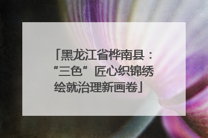 黑龙江省桦南县：“三色”匠心织锦绣 绘就治理新画卷
