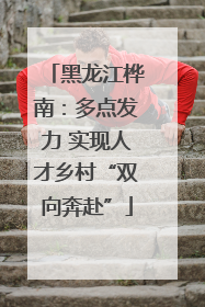 黑龙江桦南：多点发力 实现人才乡村“双向奔赴”