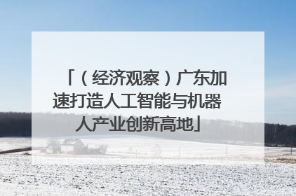 （经济观察）广东加速打造人工智能与机器人产业创新高地