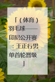 （体育）羽毛球——印尼公开赛：王正行男单首轮晋级