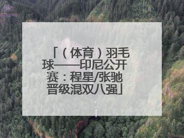 （体育）羽毛球——印尼公开赛：程星/张驰晋级混双八强