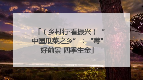（乡村行·看振兴）“中国瓜菜之乡”：“莓”好前景 四季生金
