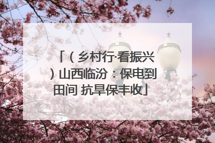 （乡村行·看振兴）山西临汾：保电到田间 抗旱保丰收