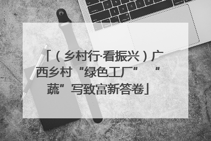 （乡村行·看振兴）广西乡村“绿色工厂” “蔬”写致富新答卷