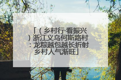 （乡村行·看振兴）浙江义乌何斯路村：龙粽越包越长折射乡村人气渐旺