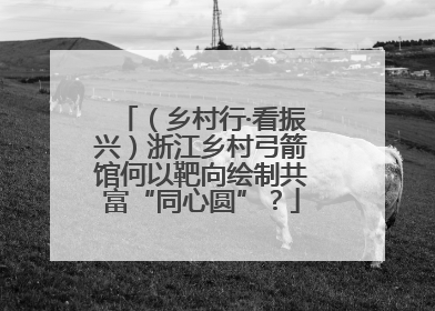 （乡村行·看振兴）浙江乡村弓箭馆何以靶向绘制共富“同心圆”？